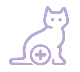 Cat Spay or Neuter